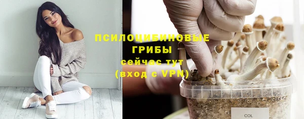 MDMA Premium VHQ Волосово