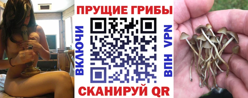 Галлюциногенные грибы Magic Shrooms  Купить где  Лысково 